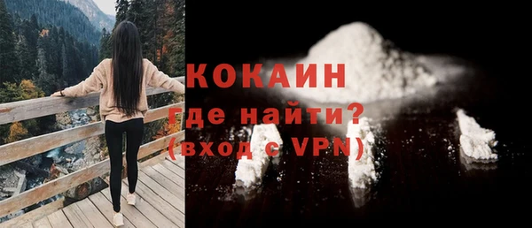 гашик Дмитровск