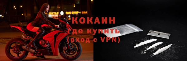 ГАЛЛЮЦИНОГЕННЫЕ ГРИБЫ Абаза