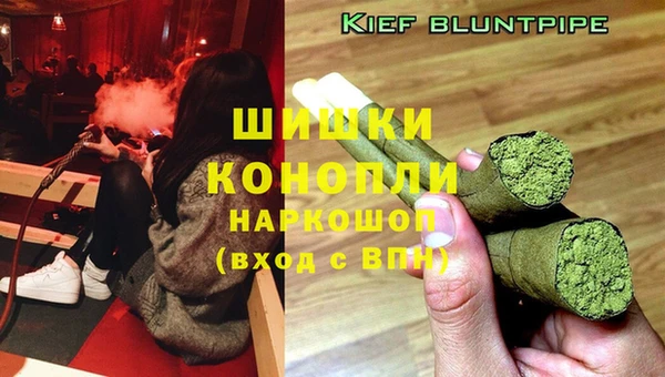 ГАЛЛЮЦИНОГЕННЫЕ ГРИБЫ Абаза
