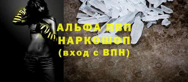 тгк Дмитриев