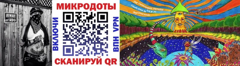 Псилоцибиновые грибы Cubensis  Десногорск 